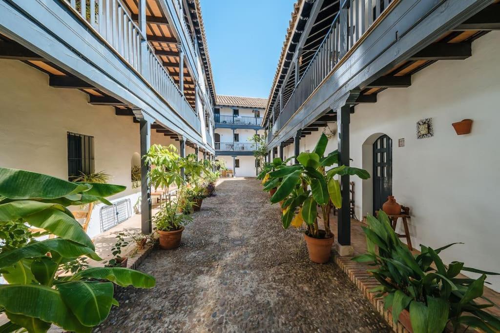 New Apartment In Traditional Building Of The XVI Century Seville Luaran gambar